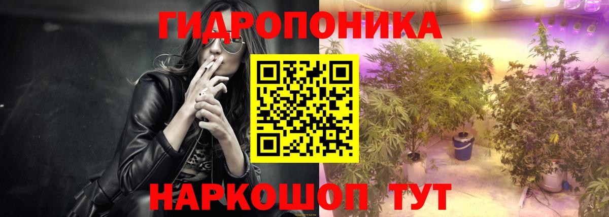 Бошки марихуана сатива Моздок